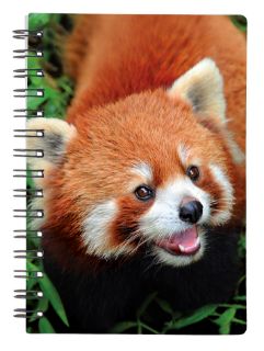 Obrázek z Notes 3D 9x13cm - panda červená 